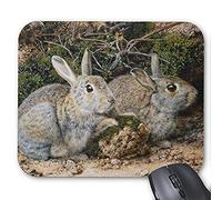 Alfombrilla de ráton del Juego mousemat Conejo Precioso Mousepad Serie Conejos en Pares Alfombrilla De Raton Conejo de Conejito Alfombrillas de Raton Rectángulo Alfombrillas De Raton