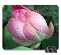 Alfombrilla De Ratón, Flores De Loto Capullos En Flores Rosa Abriendo Pétalos Mouse Pad Antideslizante Alfombrilla Gaming Ergonómico Mouse Mat para Jugadore Oficina 25X30Cm