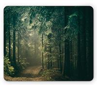 Alfombrilla De Ratón Fotografía Mística De Un Camino Rural Que Se Adentra En El Bosque Alfombrilla Ratón Ordenador Cómoda Antideslizante Mouse Pad, para Portátil, Ordenador, 25x30cm