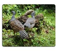 Alfombrilla de ratón Gaming Alfombrilla de ratón Turquía Costa Rica Centroamérica Material de Caucho Natural PN00X14734