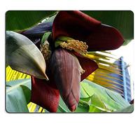 Alfombrilla de ratón Gaming Mouse Pad Banana Blossom Banana Tree Plátano Caucho Natural Material PN00X17728