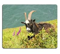 Alfombrilla de ratón Gaming Mouse Pad Cabra Naturaleza Animal Salvaje Mamífero Goma Natural Material PN00X15576