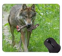 Alfombrilla de ratón Gaming, Wolf Animal Wildlife Office Alfombrilla de ratón