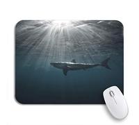 Alfombrilla De Ratón Gran Tiburón White En Azul Fotografía Submarina Depredador Alfombrilla para Computadora Moderno Alfombrilla Ratón Ordenador, para Hogar, Portátil, 25 x 30cm