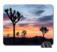 Alfombrilla De Ratón, Joshua Trees Atardecer Paisaje Desierto Naturaleza Cielo Mousepad Antideslizante Alfombrilla Gaming Ergonómico Mouse Mat para Jugadore Laptop 25X30Cm