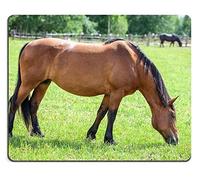 Alfombrilla de ratón Juego Alfombrilla de ratón Alfombrilla de ratón de Caucho Natural Caballo castaño Que Pasta en el Prado Vista Completa M0A02261