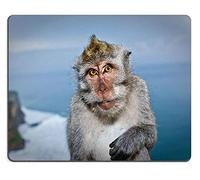 Alfombrilla de ratón Juego Alfombrilla de ratón Estera de ratón de Caucho Natural Hermosa fotografía de un Mono Que da una expresión Divertida para la cámara Bali M0A02535