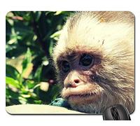 Alfombrilla De Ratón, Mono Primates Mamíferos Macaco Animal Cría Mono Alfombrilla De Ratón Para Juegos Antideslizante Gaming Mouse Pad Portátil Mousepad Para Ratón Pc 25X30Cm