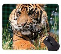 Alfombrilla de ratón Mother Tiger and Her Baby, alfombrilla de ratón Tiger Rubber