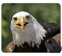Alfombrilla de ratón Original Personalizada, American Bald Eagle Themes Alfombrillas de ratón