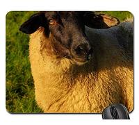 Alfombrilla De Ratón, Ovejas Dique Hierba Finales De Otoño Lana Pacífico Alfombrilla Gaming Antideslizante Alfombrilla Ratón Professional Mousepad para Ordenador Oficina 25X30Cm