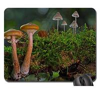 Alfombrilla De Ratón Para Juegos, Grupo De Hongos Hongos Pequeños Esponja Musgo Árbol Alfombrilla Gaming Antideslizante Alfombrilla Raton Portátil Mousepad Para Laptop Trabajo 25X30Cm