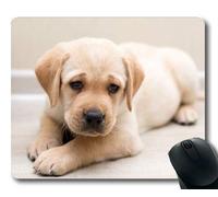 Alfombrilla de ratón para Juegos, Perros Mascotas de Cachorros Alfombrillas para ratón, Animales Gatita de Perro Perrito de Golden Retriever Mousepad Rubber YT 045