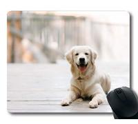 Alfombrilla de ratón para Juegos, Perros Mascotas de Cachorros Alfombrillas para ratón, Animales Gatita de Perro Perrito de Golden Retriever Mousepad Rubber YT 013