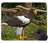 Alfombrilla de ratón para juegos personalizada, patriótica Memorial Day Eagle Temas Alfombrilla de ratón con borde cosido