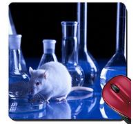 Alfombrilla De Ratón para Juegos, Rata Blanca En Laboratorio Mouse Pad Multifuncional Alfombrilla Gaming Professional Alfombrilla Raton para Pc Juegos 25X30Cm