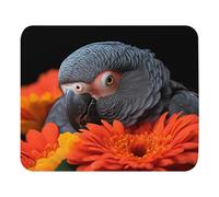 Alfombrilla De Ratón Parrot and The Flowers Alfombrilla De Ratón Accesorios Ordenador Suave Alfombrilla De Ratón para Juegos para Mac Escritorio Ordenadores 25X30Cm