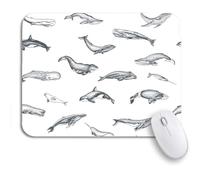 Alfombrilla De Ratón Patrón De Beluga Azul Ballena Salvaje Animales Salvajes Ballena De Groenlandia Negra Grande Alfombrilla Gaming Moderno Alfombrilla para Computadora, para Oficina, 25 x 30cm