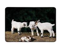 Alfombrilla de ráton pequeña para Animales Cabritos de adorables Cachorros de bebé Que juegan Entre sí en una Roca sólida en una Alfombrilla de ratón Farmcustomize Blanco y marrón