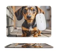 Alfombrilla de Ratón Perro Salchicha Alfombrilla Gaming PC 25x30cm
