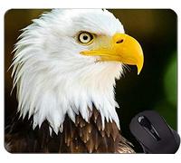 Alfombrilla de ratón Personalizada Personalizada Alfombrilla de ratón, Hawk Eagle Bird Mountain Temas Alfombrilla de ratón con Borde Cosido
