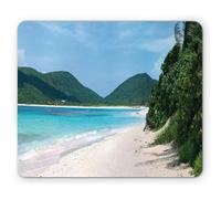 Alfombrilla De Ratón Playa Flamenco De Puerto Rico En La Isla De Culebra Tema De Escapada De Temporada De Verano Alfombrilla Raton Cómoda Antideslizante Mouse Pad, para Oficina, Hogar, 25x30cm