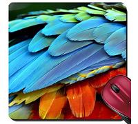 Alfombrilla De Ratón, Primer Plano De Plumas De Loro Y Guacamayo Alfombrilla Gaming Bordes Cosidos Alfombrilla Ratón Ergonómico Gaming Mouse Pad para Jugadore Trabajo 25X30Cm