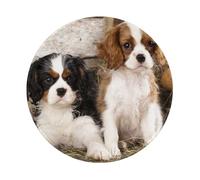Alfombrilla de ratón Redonda de 20 y 20 cm con Borde Cosido para Cachorros pequeños de Cavalier King Charles Spaniel