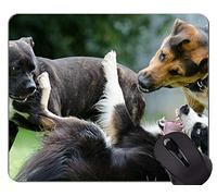 Alfombrilla de ratón Shepherd Puppies, Alfombrilla de ratón Border Collie Office