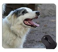 Alfombrilla de ratón Shepherd Puppies, Mousepad con base de goma antideslizante Border Collie