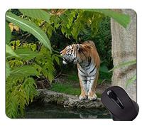 Alfombrilla de ratón Tiger In The Landscape, alfombrilla de ratón Tiger con bordes cosidos