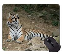 Alfombrilla de ratón Tiger In The Landscape, Alfombrillas de ratón Panthera Tigris con Bordes cosidos