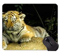 Alfombrilla de ratón Tiger In The Landscape, Animal Office Mouse Pad
