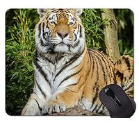 Alfombrilla de ratón Tigresa y Cub Tiger, Alfombrilla de goma animal