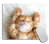 Alfombrilla de Ratón Un Lindo Gatito Duerme Alfombrilla de ratón para