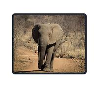 Alfombrilla de ratón Wild Africa Elephant.JPEG Oficina Rectángulo Antideslizante Alfombrilla de ratón Divertido Juego Alfombrilla para ratón