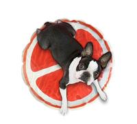 Alfombrilla de refrigeración para mascotas, almohadilla sensorial de agua para gatitos, bonito patrón de frutas, colchón de dormir para perros y gatos