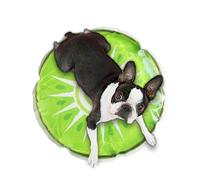 Alfombrilla de refrigeración para mascotas, almohadilla sensorial de agua para gatitos, patrón de frutas, cojín de refrigeración de agua helada para perros y