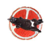 Alfombrilla de refrigeración para Mascotas, Almohadilla sensorial de Agua para Gatitos, Plegable, a Prueba de Fugas, para Perros y Gatos con patrón de Frutas