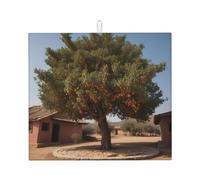Alfombrilla de secado para cocina Wzywhj Date Trees in the Garden Printing hecha de esponja absorbente de agua 45,7 x 40,6 cm