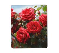 Alfombrilla Escritorio Arbusto De Rosas Rojas En El Jardín Lavable Accesorios Ordenador Impermeable Gaming Tapete para Trabajo Juegos Pc 25X30Cm