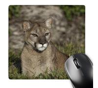 Alfombrilla Escritorio León De Montaña, También Conocido como Puma Lavable Accesorios Ordenador Portátil Protector Escritorio para Pc Escritorio Ordenador Computadora 25X30Cm