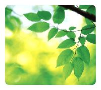 Alfombrilla para ratón - Fellowes Hojas, ecológicas y rectangular