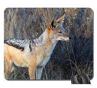 Alfombrilla Gaming, Chacal Sudáfrica Naturaleza Kruger Salvaje Vacaciones Alfombrilla De Ratón Antideslizante Mouse Pad Professional Alfombrilla Ratón para Ordenador Oficina 25X30Cm
