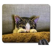 Alfombrilla Gaming, Gatito Animal Mascota Patas Miedo Gato Sofá Mousepad Antideslizante Tapete De Juego Portátil Alfombrilla De Ratón Para Ordenador Ratón 25X30Cm