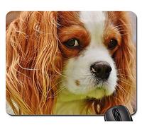 Alfombrilla Gaming, Perro Cavalier King Charles Spaniel Gracioso Mascota Animal Alfombrilla Raton Antideslizante Alfombrilla De Ratón para Juegos Ergonómico Alfombrilla Ratón para Ratón 25X30Cm