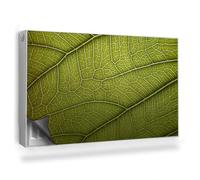 Alfombrilla Magnética 100x60 cm Fácil Instalación para Radiador Protección contra el Polvo y Daños Magnético Panel Decorativo - Acércate a Las Venas de Las Hojas.