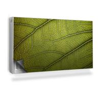 Alfombrilla Magnética 110x60 cm Fácil Instalación para Radiador Protección contra el Polvo y Daños Magnético Panel Decorativo - Acércate a Las Venas de Las Hojas.