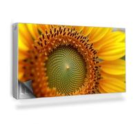 Alfombrilla Magnética 110x60 cm para Radiador Fácil Instalación Magnético Panel Decorativo Protección contra el Polvo y Daños - Flor de Girasol, Primer Plano, Naturaleza.