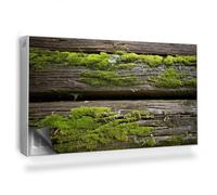 Alfombrilla Magnética 110x60 cm para Radiador Magnético Panel Decorativo Protección contra el Polvo y Daños Fácil Instalación - Viejas Tablas de Madera Cubiertas de Musgo